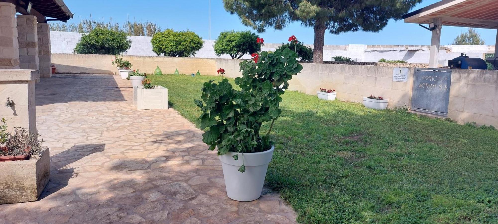 Willa L'Aira Ecchia - Ospitalita Rurale Lecce Zewnętrze zdjęcie